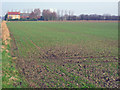 Farmland at SE872301