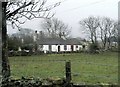 A Traditional White-washed Cottage, Ty