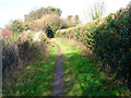 Bridleway on the outskirts of Seaford