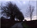 SH4374 : Dusk in the country lane by Nigel Williams