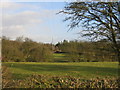 Power Lines to Dodwell