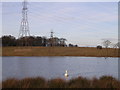 Small Loch by Gartloch Road