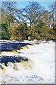 Rapids on the Ure below Aysgarth