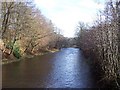 SD8249 : River Ribble from Gisburn Bridge by Chris Heaton