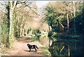 Monmouthshire and Brecon canal