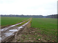 TF8727 : Farm track, Raynham, Norfolk by Rodney Burton