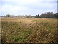 River Wensum wetland, Helhoughton, Norfolk