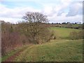 SO6051 : Footpath to Little Cowarne Brook by Bob Embleton