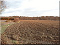 Ploughed field near Chenies