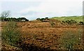 Tumulus, Eype Down