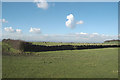 Sheep field and fleecy clouds