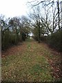 Bridle Path to Buckhatch Farm