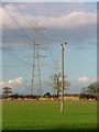 Pylons Near Bank Top Farm