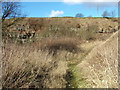 A very disused quarry