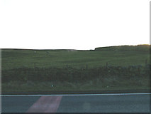 SD7525 : Oswaldtwistle Moor by Richard Spencer