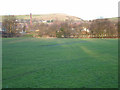 Lane Side Cricket Field