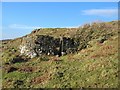 Ruined House in Feriniquarrie