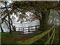 Haslington Hall - the drive and lake