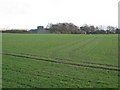 East of Market Weighton