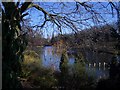 West end of Lake on University of Nottingham Campus