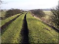 Disused Railway east of Scotsgap, Northumberland