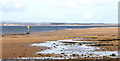 NO4828 : Tay Estuary from Tentsmuir by Ian Cleland