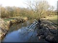 View of the river Weaver