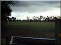 Field at Sound Heath