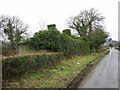 Overgrown Cottage