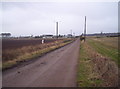 Track to Birkhill from Tarriebank Home Farm