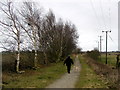 Silver Birches on the old Hull to Hornsea Railway