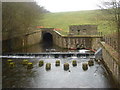 Jumbles dam and outflow