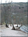 The shore of Loch Tay at Kenmore