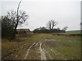 Barn and muddy farm track