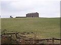 Stone Laithe, near Caldbergh