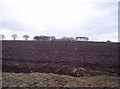 Ploughed Field and Fauldiehill