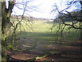 Hemel Hempstead: Long Deans Nature Reserve