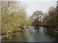 River Test, near Nursling Mill