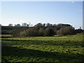 River Itchen - at North End