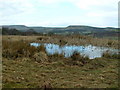 SE1111 : Pond near Knowl Top by Nigel Homer