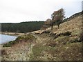 Track at Loch Suardal