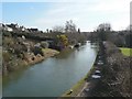 Grand Union Canal at Northchurch