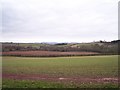 The Fields of Castle Farm