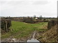 Looking East along the bottom edge of the square at Dodder Carr