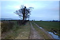 Farm track at Higher House Farm