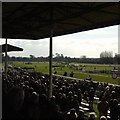 Fontwell Races