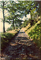 Looking up the track towards Parc Mawr