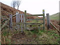 Stile and footpath near Moel y Plas