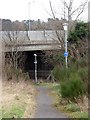 NS3333 : Underpass beneath the A78 by Gordon Brown