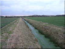 SU5686 : Farmland near Aston Tirrold by Andrew Smith
